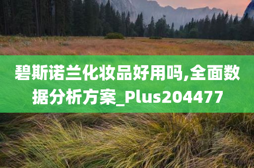 碧斯诺兰化妆品好用吗,全面数据分析方案_Plus204477