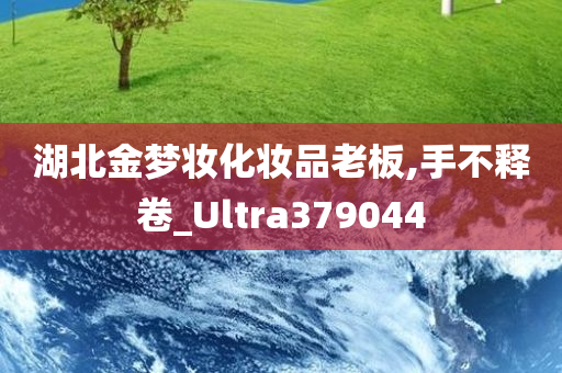 湖北金梦妆化妆品老板,手不释卷_Ultra379044