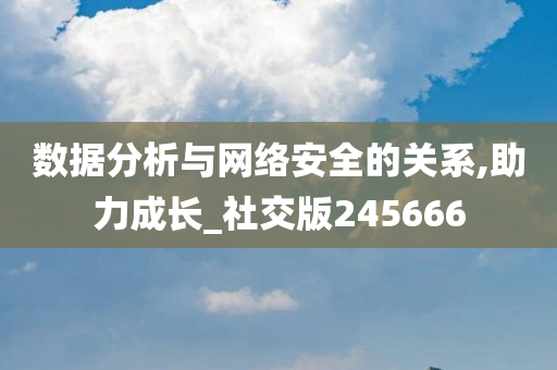 数据分析与网络安全的关系,助力成长_社交版245666