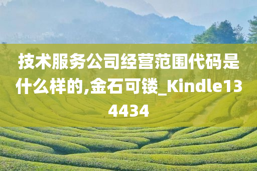 技术服务公司经营范围代码是什么样的,金石可镂_Kindle134434