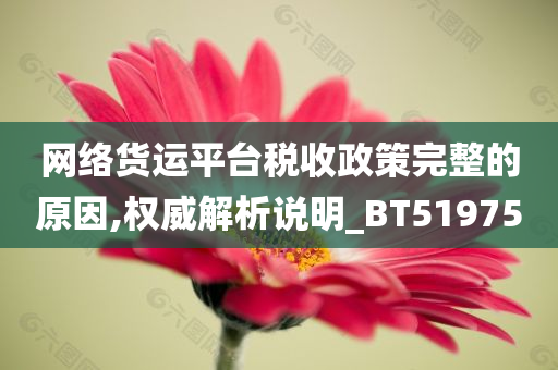 网络货运平台税收政策完整的原因,权威解析说明_BT519750