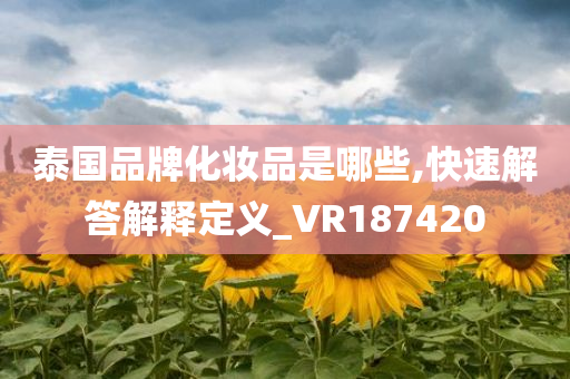 泰国品牌化妆品是哪些,快速解答解释定义_VR187420