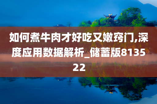 如何煮牛肉才好吃又嫩窍门,深度应用数据解析_储蓄版813522