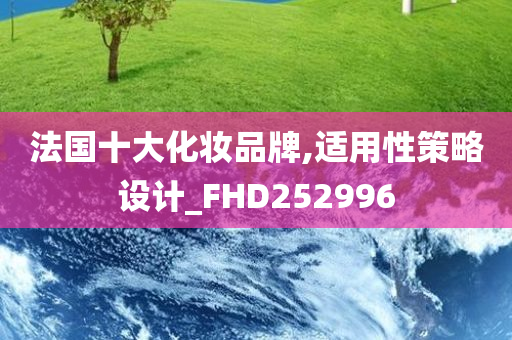 法国十大化妆品牌,适用性策略设计_FHD252996