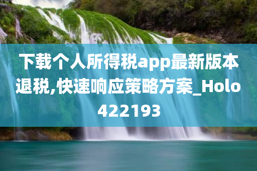 下载个人所得税app最新版本退税,快速响应策略方案_Holo422193