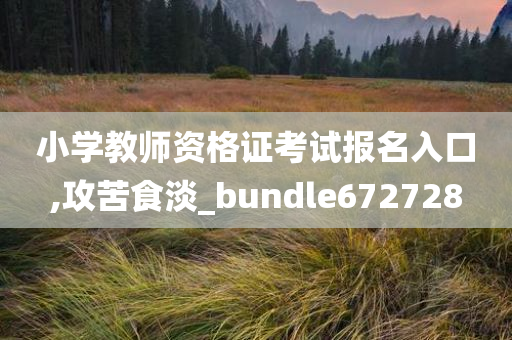 小学教师资格证考试报名入口,攻苦食淡_bundle672728