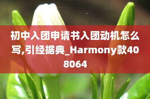 初中入团申请书入团动机怎么写,引经据典_Harmony款408064