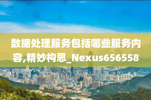 数据处理服务包括哪些服务内容,精妙构思_Nexus656558