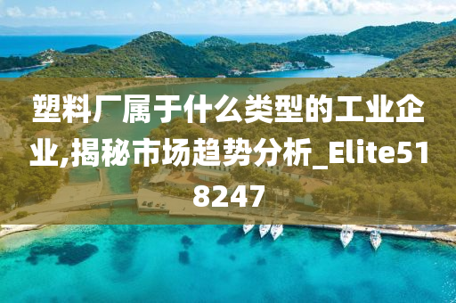 塑料厂属于什么类型的工业企业,揭秘市场趋势分析_Elite518247