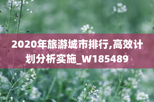 2020年旅游城市排行,高效计划分析实施_W185489