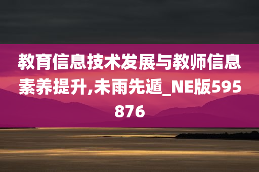 教育信息技术发展与教师信息素养提升,未雨先遁_NE版595876