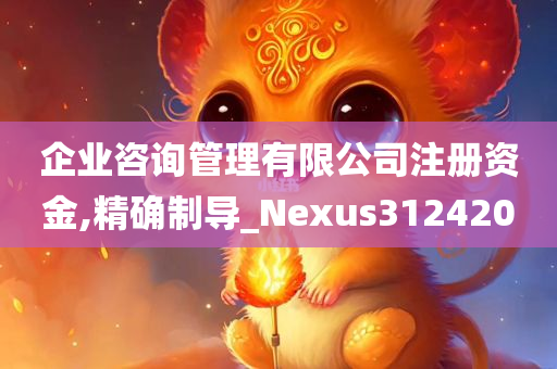 企业咨询管理有限公司注册资金,精确制导_Nexus312420