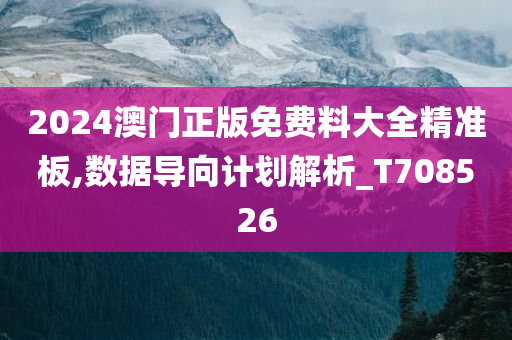 2024澳门正版免费料大全精准板,数据导向计划解析_T708526