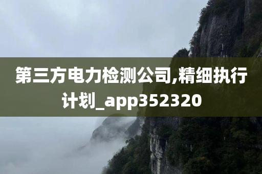 第三方电力检测公司,精细执行计划_app352320