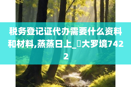 税务登记证代办需要什么资料和材料,蒸蒸日上_‌大罗境7422