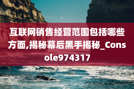 互联网销售经营范围包括哪些方面,揭秘幕后黑手揭秘_Console974317