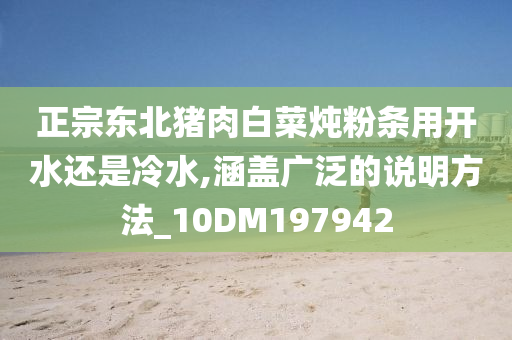 正宗东北猪肉白菜炖粉条用开水还是冷水,涵盖广泛的说明方法_10DM197942