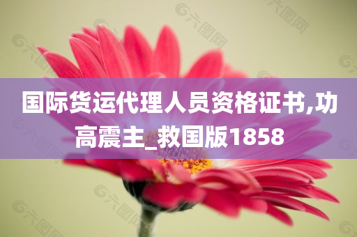 国际货运代理人员资格证书,功高震主_救国版1858