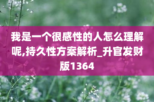 我是一个很感性的人怎么理解呢,持久性方案解析_升官发财版1364