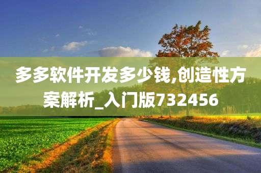 多多软件开发多少钱,创造性方案解析_入门版732456