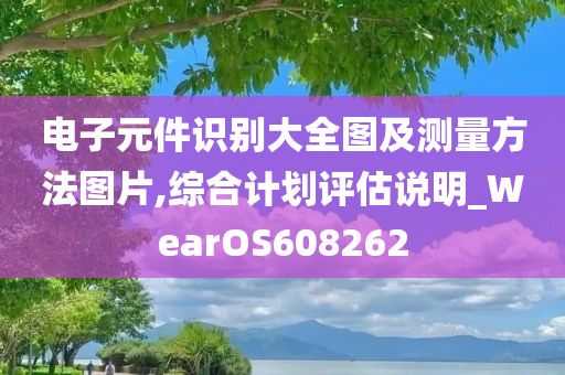 电子元件识别大全图及测量方法图片,综合计划评估说明_WearOS608262