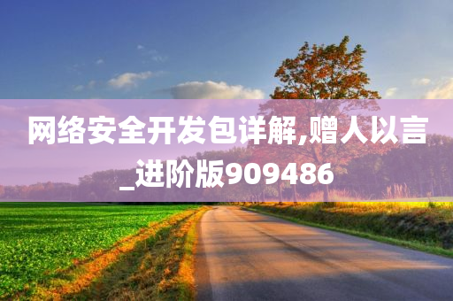 网络安全开发包详解,赠人以言_进阶版909486