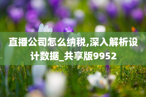 直播公司怎么纳税,深入解析设计数据_共享版9952