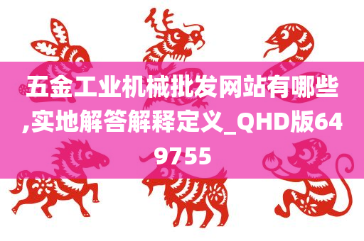 五金工业机械批发网站有哪些,实地解答解释定义_QHD版649755