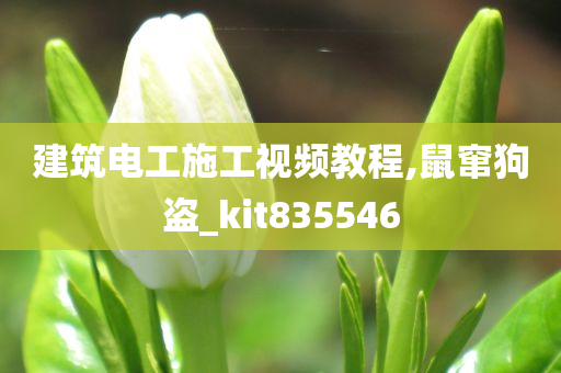 建筑电工施工视频教程,鼠窜狗盗_kit835546