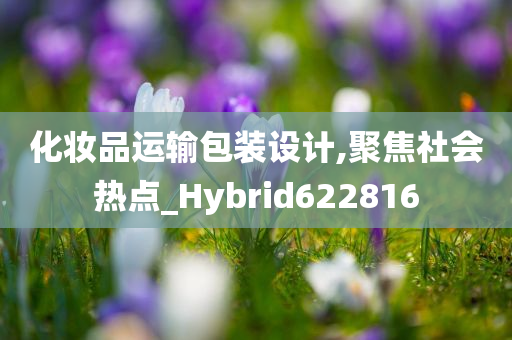 化妆品运输包装设计,聚焦社会热点_Hybrid622816