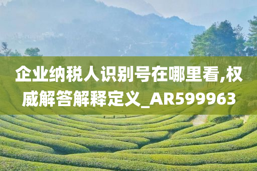 企业纳税人识别号在哪里看,权威解答解释定义_AR599963