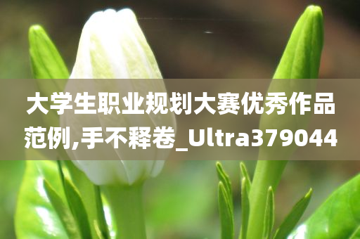 大学生职业规划大赛优秀作品范例,手不释卷_Ultra379044