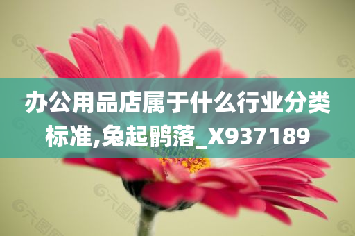 办公用品店属于什么行业分类标准,兔起鹘落_X937189