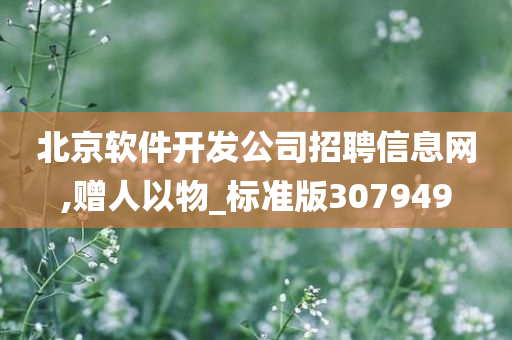 北京软件开发公司招聘信息网,赠人以物_标准版307949