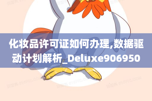 化妆品许可证如何办理,数据驱动计划解析_Deluxe906950