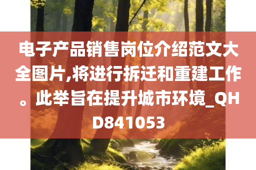 电子产品销售岗位介绍范文大全图片,将进行拆迁和重建工作。此举旨在提升城市环境_QHD841053