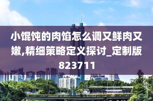 小馄饨的肉馅怎么调又鲜肉又嫩,精细策略定义探讨_定制版823711