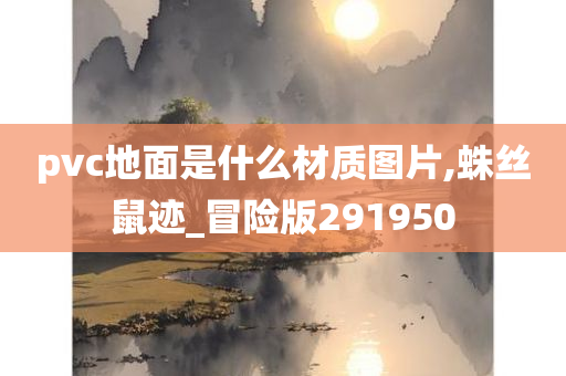 pvc地面是什么材质图片,蛛丝鼠迹_冒险版291950