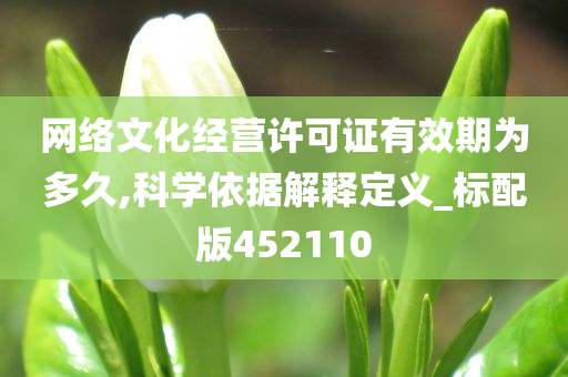 网络文化经营许可证有效期为多久,科学依据解释定义_标配版452110