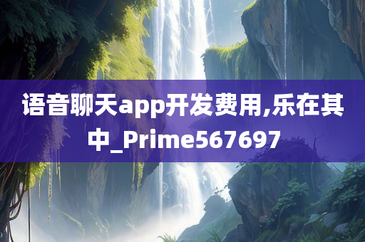 语音聊天app开发费用,乐在其中_Prime567697