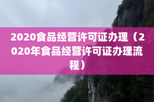 2020食品经营许可证办理（2020年食品经营许可证办理流程）