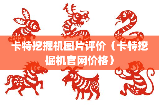 卡特挖掘机图片评价（卡特挖掘机官网价格）