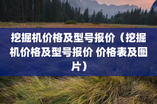 挖掘机价格及型号报价（挖掘机价格及型号报价 价格表及图片）