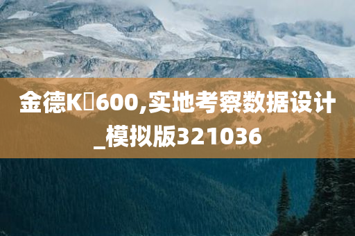 金德K丅600,实地考察数据设计_模拟版321036