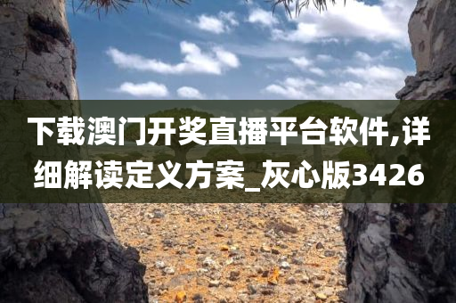 下载澳门开奖直播平台软件,详细解读定义方案_灰心版3426