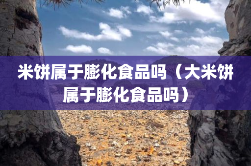 米饼属于膨化食品吗（大米饼属于膨化食品吗）