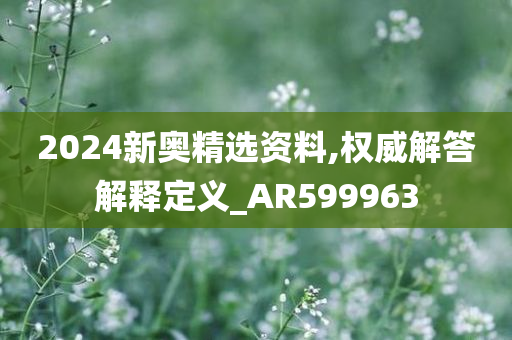 2024新奥精选资料,权威解答解释定义_AR599963