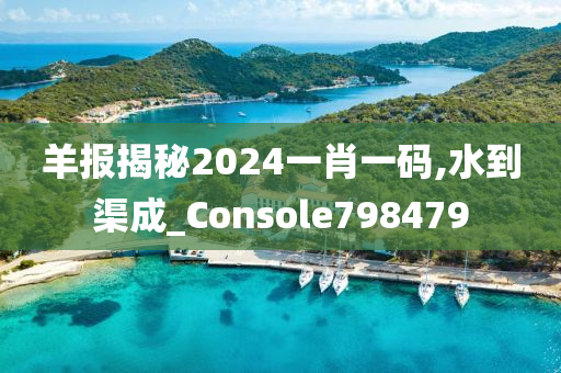 羊报揭秘2024一肖一码,水到渠成_Console798479