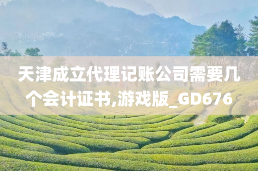 天津成立代理记账公司需要几个会计证书,游戏版_GD676