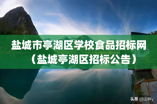 盐城市亭湖区学校食品招标网（盐城亭湖区招标公告）